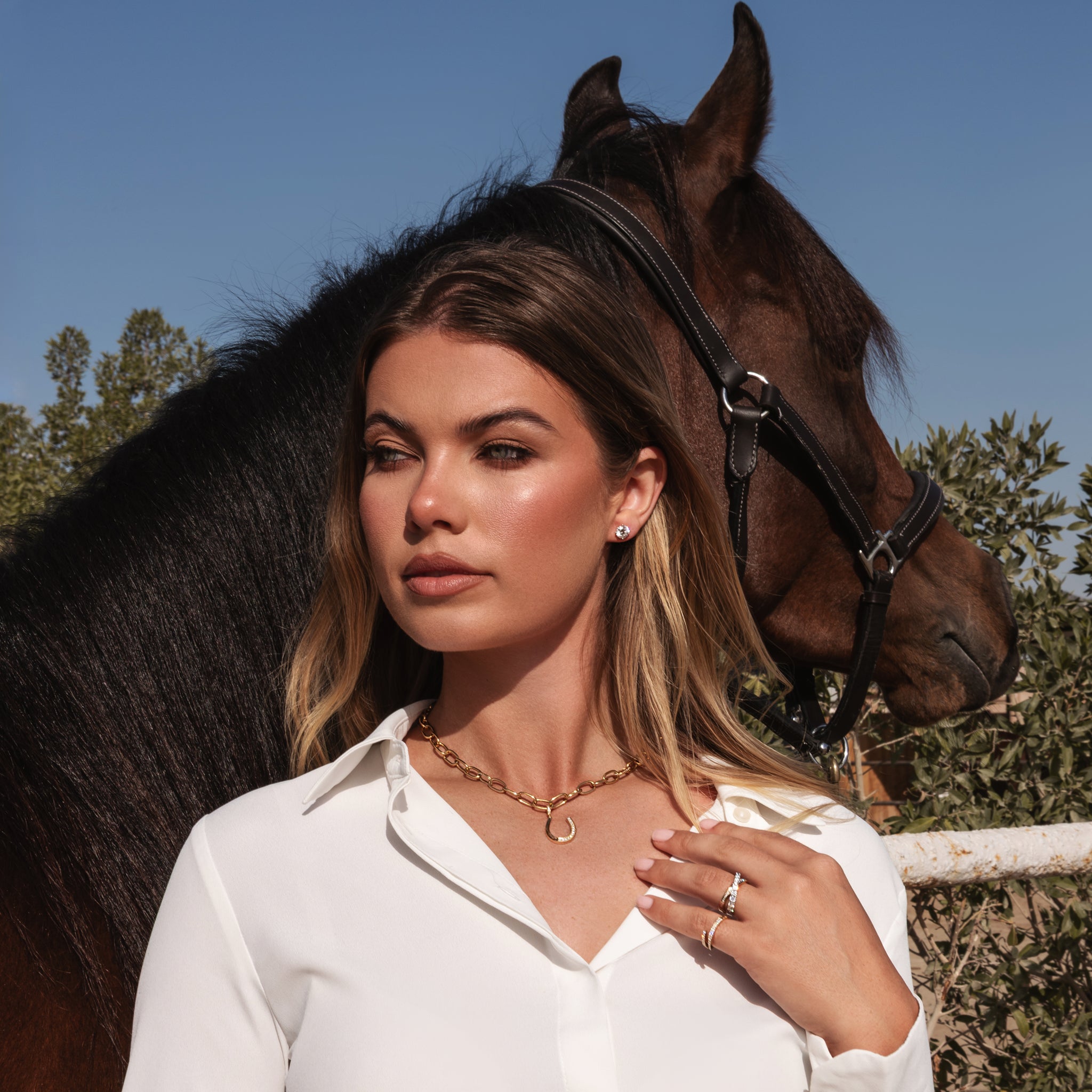 Diamond Horseshoe Charm