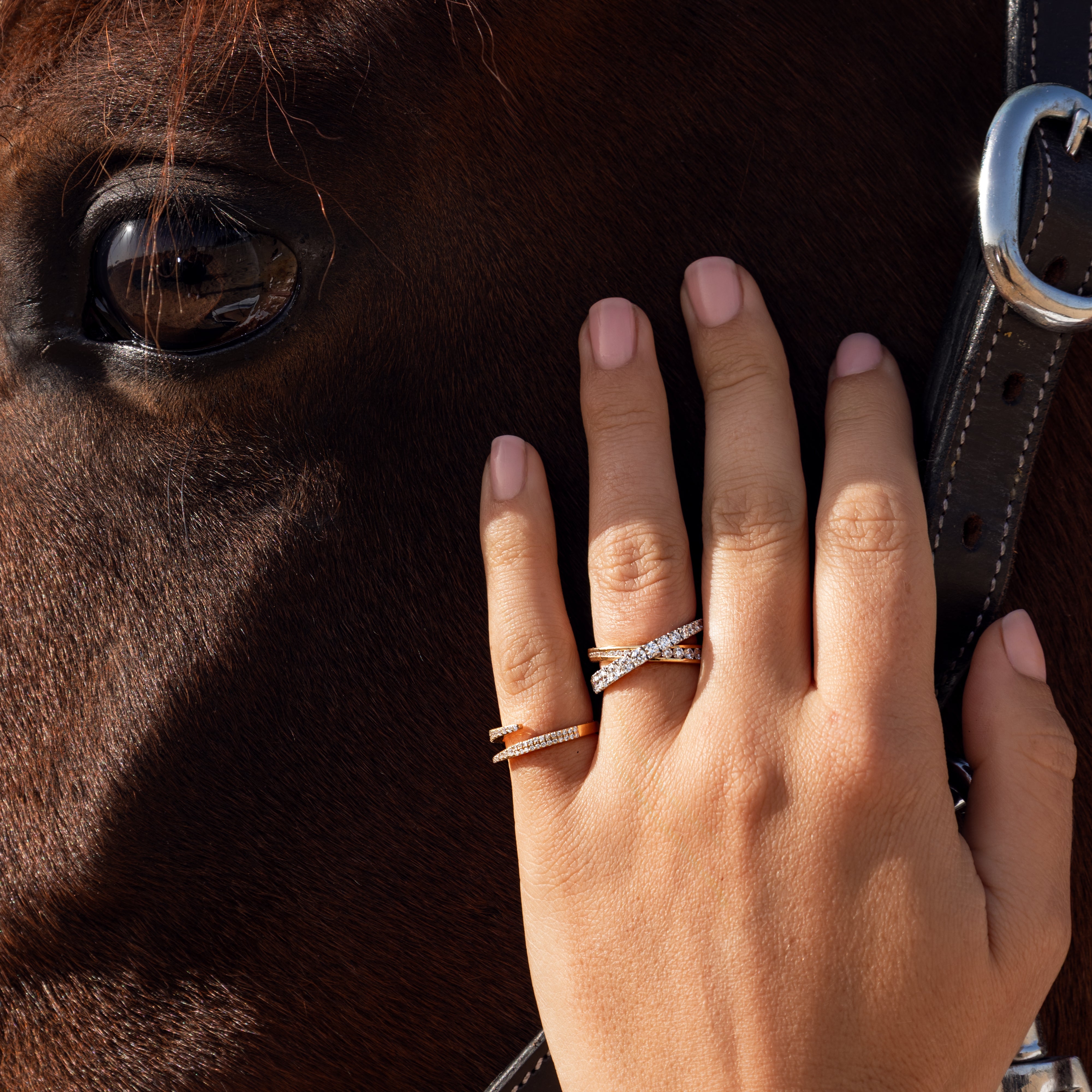 Close-up of a horse's eye with a hand wearing two diamond rings in front.